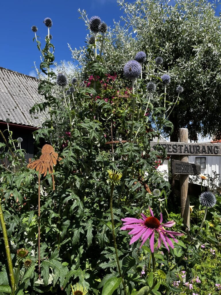 🌿 Kristi himmelsfärd på Freadal