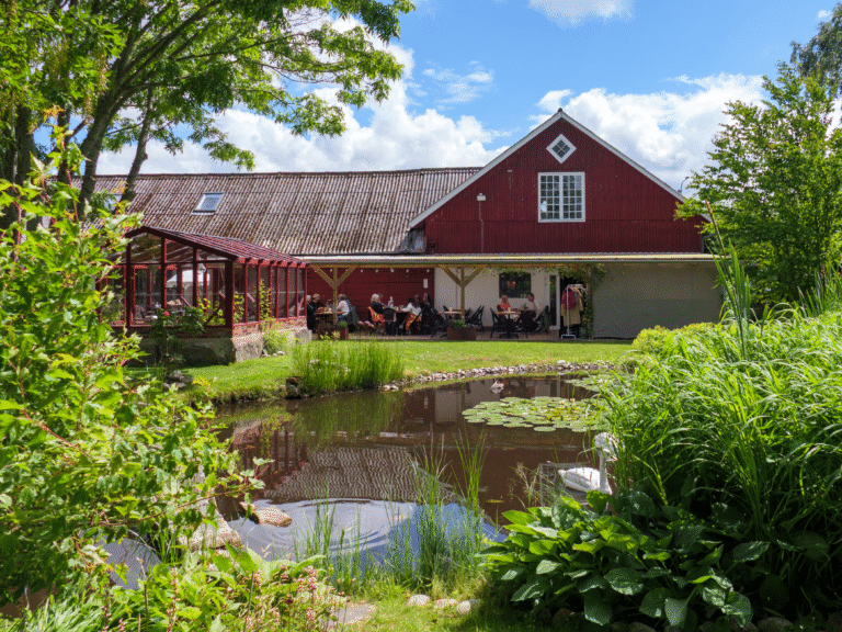 🌞 Nu är sommaren här! 🌿